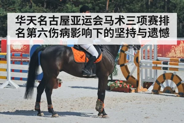 horse dressage arena competition